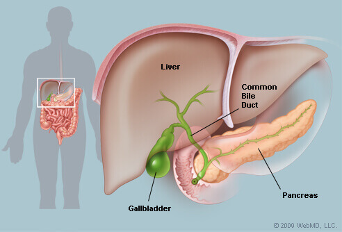 What is Gallbladder?